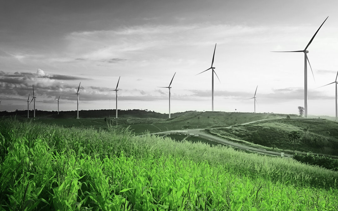 Consumers Energy’s New Renewable Energy Program Helps General Motors and Switch in Michigan