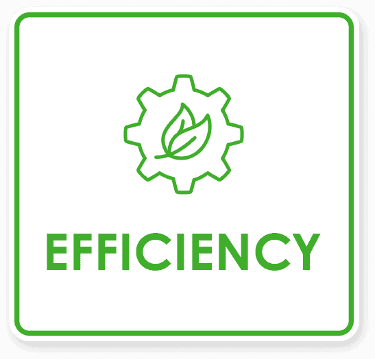 Efficiency Icon