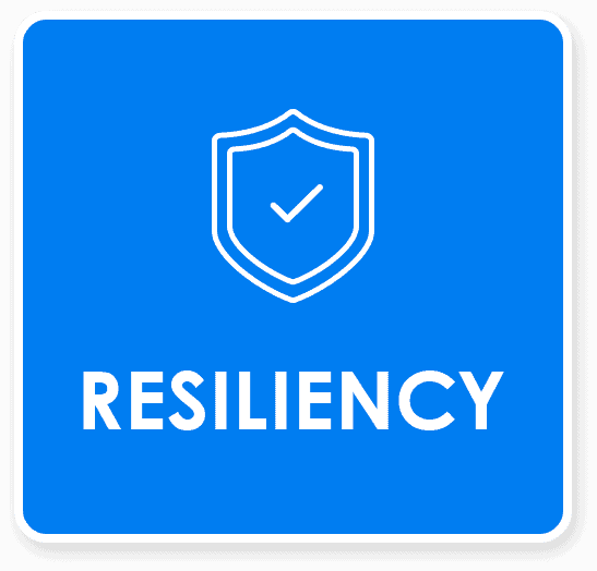 Resiliency Icon